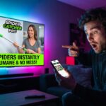 Best way to grow your spider catcher as seen on tv 7